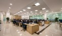 Cho thuê văn phòng đẹp tòa Ford (IDMC Láng Hạ), Đống Đa: 100m2 đến 500m2 thông sàn, dễ dàng thiết kế